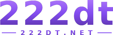 222dt logo
